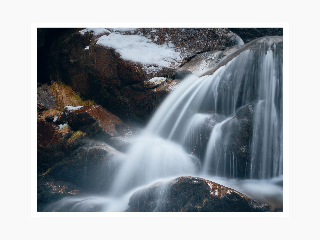 Max Schiefele Alle Bilder  DSF4297